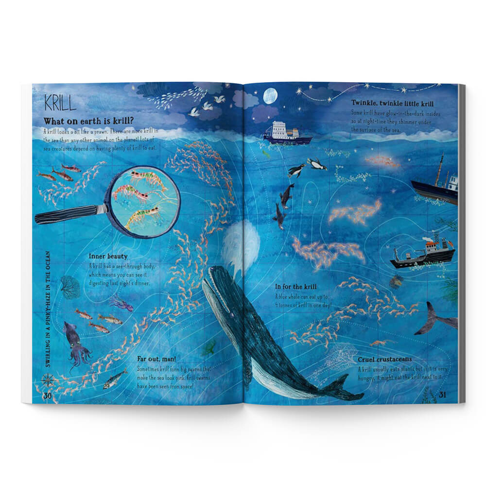 The Big Book of the Blue by Yuval Zommer | Gifts Australia