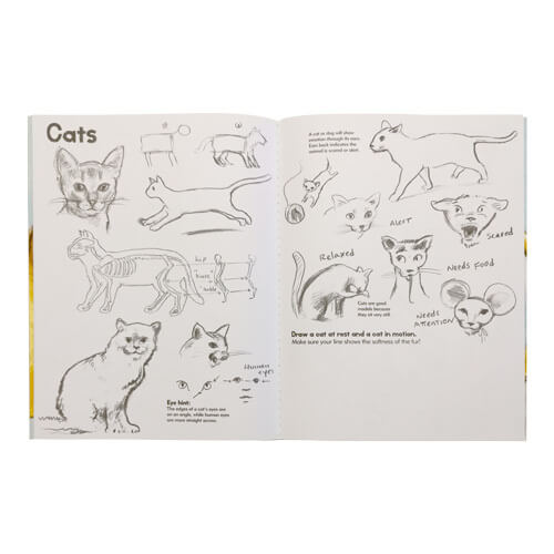 Learn to Draw Animals Book Gifts Australia