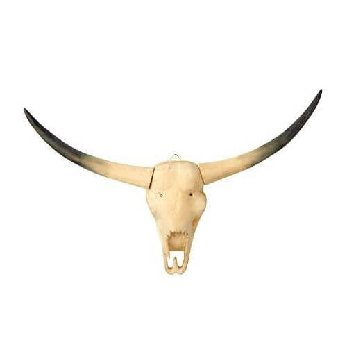 Bull Skull Natural Wood Sculpture - Gifts Australia