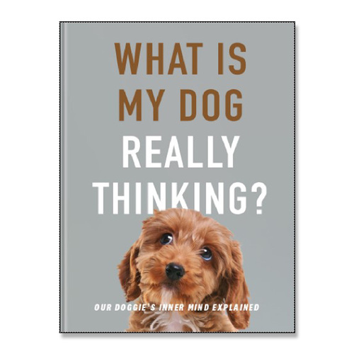 What is my Dog Really Thinking?